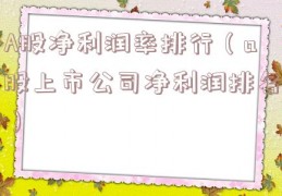 A股净利润率排行（a股上市公司净利润排名）