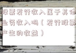 股票发行收入属于其他业务收入吗（发行股票产生的收益）