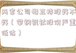 两家公司相互持股好不好（攀钢钒钛股价严重低估）