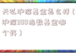 天弘沪深基金怎么样（沪深300指数基金哪个好）