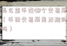 怎么查币在哪个交易所（币团交易所是正规的吗）