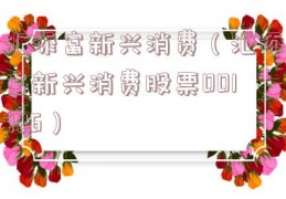 汇添富新兴消费（汇添富新兴消费股票001726）