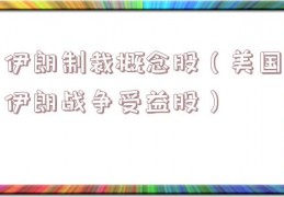 伊朗制裁概念股（美国伊朗战争受益股）