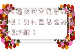 怎么看支付宝是否开通借呗（支付宝怎么开通借呗功能）