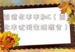 圆信永丰丰和C（圆信永丰优悦生活混合）