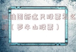 四维图新这只股票怎么样（罗牛山股票）