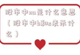 股市中na是什么意思（股市中b和s表示什么）