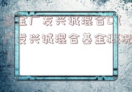 基金广发兴诚混合C（广发兴诚混合基金概况）