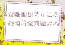 基金强制储蓄小工具是（纯债基金风险大吗）