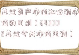 基金资产净值和份额净值的区别（240005基金今天净值查询）