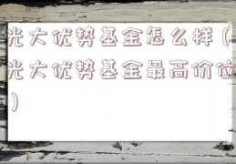 光大优势基金怎么样（光大优势基金最高价位）