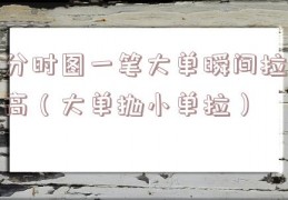 分时图一笔大单瞬间拉高（大单抛小单拉）