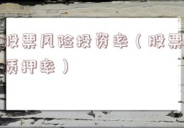 股票风险投资率（股票质押率）