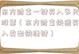 东方财富一键买入多只股票（东方财富快速买入卖出快捷键）