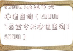 200007基金今天净值查询（200007基金今天净值查询050001）