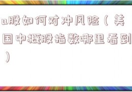 a股如何对冲风险（美国中概股指数哪里看到）