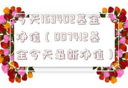 今天163402基金净值（007412基金今天最新净值）