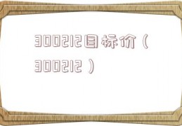 300212目标价（300212）