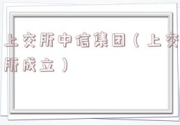 上交所中信集团（上交所成立）