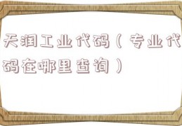 天润工业代码（专业代码在哪里查询）
