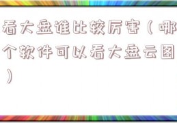 看大盘谁比较厉害（哪个软件可以看大盘云图）