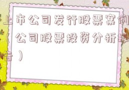 上市公司发行股票案例（公司股票投资分析报告）