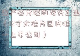 生产芯片硅的龙头企业（12寸大硅片国内唯一上市公司）