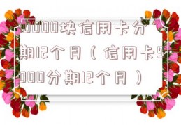 10000块信用卡分期12个月（信用卡9000分期12个月）