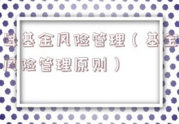 母基金风险管理（基金风险管理原则）