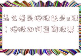 怎么看是港股还是a股（港股如何查询股票）