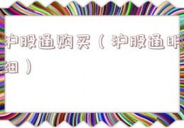 沪股通购买（沪股通明细）