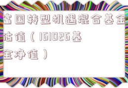 富国转型机遇混合基金估值（161026基金净值）