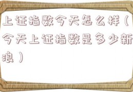 上证指数今天怎么样（今天上证指数是多少新浪）