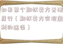 如果某个期权卖方无法履行（期权卖方实现盈利的途径）