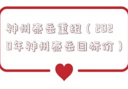 神州泰岳重组（2020年神州泰岳目标价）