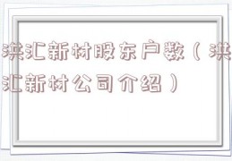 洪汇新材股东户数（洪汇新材公司介绍）