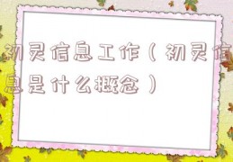 初灵信息工作（初灵信息是什么概念）