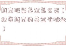 越南股票基金怎么买（投资越南的基金有哪些）