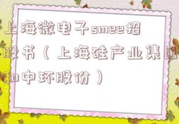 上海微电子smee招股书（上海硅产业集团和中环股份）