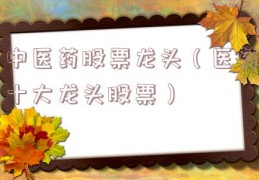 中医药股票龙头（医药十大龙头股票）