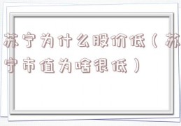 苏宁为什么股价低（苏宁市值为啥很低）