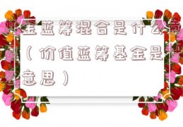 基金蓝筹混合是什么意思（价值蓝筹基金是什么意思）