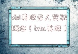 visl美股无人驾驶概念（intu美股）