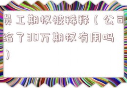 员工期权被稀释（公司给了30万期权有用吗）