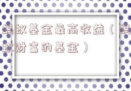 蚂蚁基金最高收益（蚂蚁财富的基金）