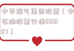 中华煤气集团股票（中石油股票行情600187）