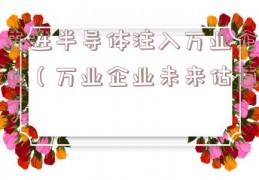 先进半导体注入万业企业（万业企业未来估值）
