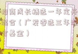 招商成长精选一年定开混合（广发睿选三年混合基金）