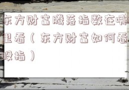 东方财富腾落指数在哪里看（东方财富如何看股指）