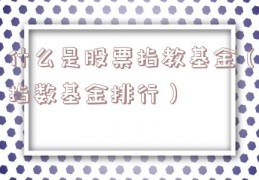 什么是股票指教基金（指数基金排行）